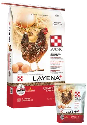 Flock_Purina-Layena-Omega3-Layer-Pellets-40-10-Combo-1