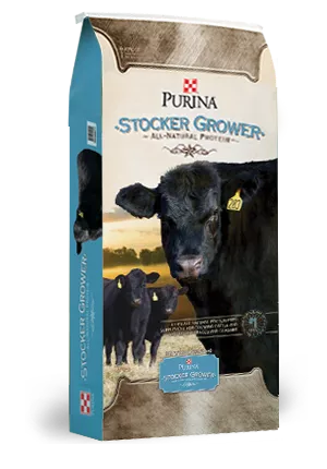 Product_Cattle_Purina-Stocker-Grower