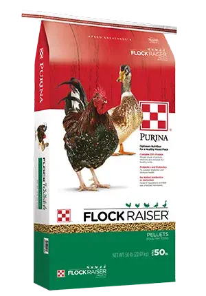 Products_Flock_FlockRaiser-Pellets_50-lb